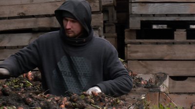 Яблука були збиткові: у селі на Черкащині сад викорчували під овочі Яблука були збиткові: у селі на Черкащині сад викорчували під овочі