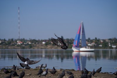 У Миколаєві відбулися змагання серед крейсерсько-перегонних яхт У Миколаєві відбулися змагання серед крейсерсько-перегонних яхт