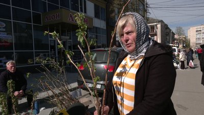 "Ціни трішечки підвищилися, але люди беруть": як продають ранню розсаду на ринку у Рівному