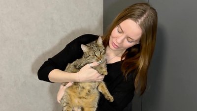 "Серед врятованих котів помітно багато домашніх і доглянутих": як волонтери із Хмельницького рятують покинутих тварин "Серед врятованих котів помітно багато домашніх і доглянутих": як волонтери із Хмельницького рятують покинутих тварин
