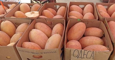 Сезон продажу кавунів та динь: ціни на тернопільському ринку