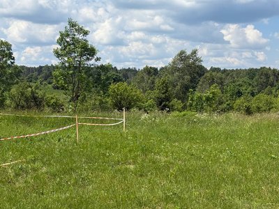 Огороджена територія у Гуті Пеняцькій. Огороджена територія у Гуті Пеняцькій.