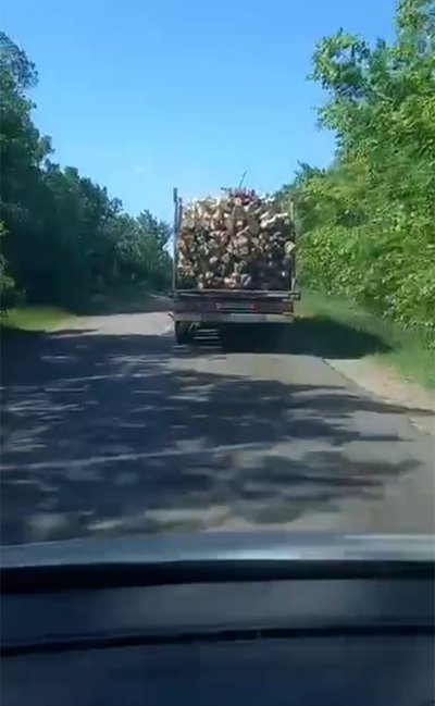 Жителі громади на Житомирщині знову вийшли проти масових крадіжок лісу Жителі громади на Житомирщині знову вийшли проти масових крадіжок лісу