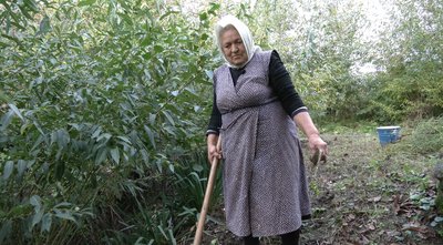 "Роблю, бо люблю порядок": 76-річна жителька села Шилівці на Буковині самостійно прибирає яр від сміття "Роблю, бо люблю порядок": 76-річна жителька села Шилівці на Буковині самостійно прибирає яр від сміття