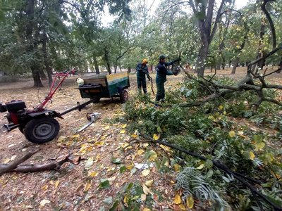 В Одесі через негоду повалені близько 20 дерев та великих гілок В Одесі через негоду повалені близько 20 дерев та великих гілок