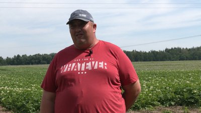 Агроном агрокомпанії "Десна" Роман Лютий з Боромик, що на Чернігівщині, розповідає про те, як дощі вплинули на врожай картоплі Агроном агрокомпанії "Десна" Роман Лютий з Боромик, що на Чернігівщині, розповідає про те, як дощі вплинули на врожай картоплі