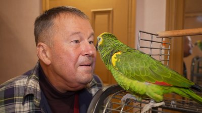 Понад 20 років була символом підприємства. Історія папуги Дусі, яка пережила удар РФ по Дніпру 1 грудня Понад 20 років була символом підприємства. Історія папуги Дусі, яка пережила удар РФ по Дніпру 1 грудня