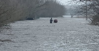 Чоловік разом з худобою на затопленій дорозі Чоловік разом з худобою на затопленій дорозі