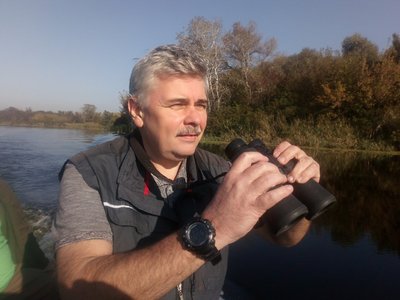На Дніпропетровщині спостерігають процес міграції оленів та лосів з Донеччини — ДП "Ліси України". Думка зоолога На Дніпропетровщині спостерігають процес міграції оленів та лосів з Донеччини — ДП "Ліси України". Думка зоолога