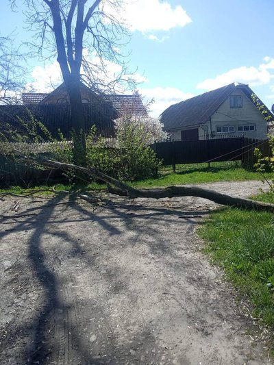 Негода, вітер, буревій, світло, аварійні відключення, Прикарпаттяобленерго, Івано-Франківщина Негода, вітер, буревій, світло, аварійні відключення, Прикарпаттяобленерго, Івано-Франківщина