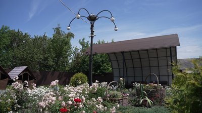 Із мисливця – в майстри з лозоплетіння: історія 64-річного Віктора Жайворона з Титівки, що на Чернігівщині Із мисливця – в майстри з лозоплетіння: історія 64-річного Віктора Жайворона з Титівки, що на Чернігівщині