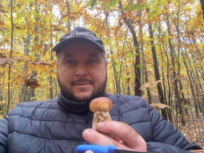«Лише лінивий міг не назбирати собі грибів»: житомирянин Віктор Лісовський розповів про грибний сезон-2026 і знахідку
