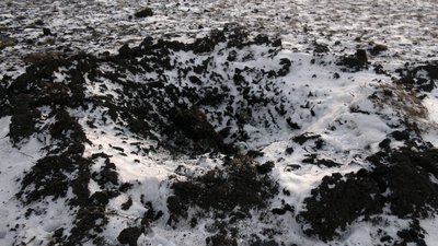 Що відомо про атаку "шахедами" двох сіл Комарівської громади на Чернігівщині, де загинули 11 корів Що відомо про атаку "шахедами" двох сіл Комарівської громади на Чернігівщині, де загинули 11 корів