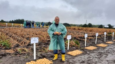 "Містерія", "Фотинія", "Магнолія": на Волині під час "Дня поля" презентували 79 сортів картоплі "Містерія", "Фотинія", "Магнолія": на Волині під час "Дня поля" презентували 79 сортів картоплі