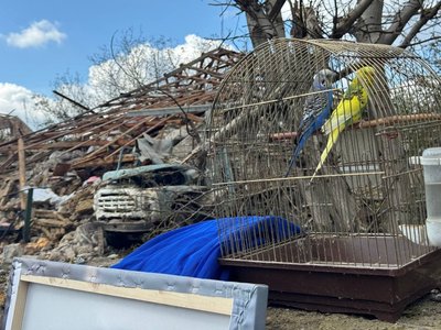 У Дунаєвецькій громаді ​зруйновано два приватні житлові будинки унаслідок російської атаки, 20 вересня 2025 року, Хмельниччина