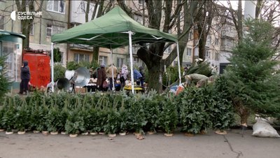 Де купити ялинку в Одесі: актуальні ціни на свята Де купити ялинку в Одесі: актуальні ціни на свята