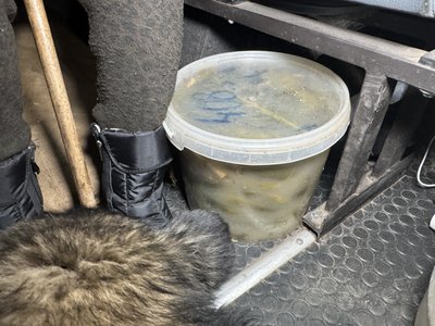 Вдруге за рік покидають дім. Як відбувалась евакуація родини з Краснопілля на Сумщині Вдруге за рік покидають дім. Як відбувалась евакуація родини з Краснопілля на Сумщині