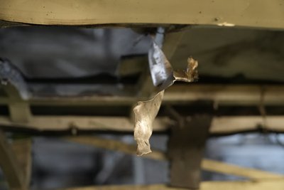Двоє поранених через атаку дрона РФ маршрутки у Херсоні перебувають у важкому стані — ОВА Двоє поранених через атаку дрона РФ маршрутки у Херсоні перебувають у важкому стані — ОВА