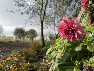 "Повертатися не плануємо. Нікуди": як подружжя вчителів із Попівки рятувалося від обстрілів "Повертатися не плануємо. Нікуди": як подружжя вчителів із Попівки рятувалося від обстрілів
