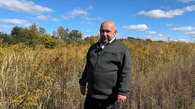 Насіння може зберігатися до 40 років: на Новгород-Сіверщині діє карантин через амброзію Насіння може зберігатися до 40 років: на Новгород-Сіверщині діє карантин через амброзію