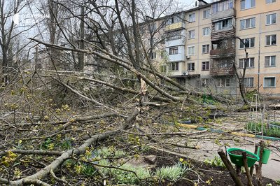 Деревопад на вулицях міста: наслідки негоди в Одесі Деревопад на вулицях міста: наслідки негоди в Одесі
