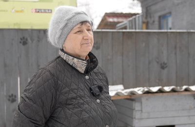 Донор Каштанка, старожила Найда і Касандра: хто живе в притулку собак у Конотопі Донор Каштанка, старожила Найда і Касандра: хто живе в притулку собак у Конотопі