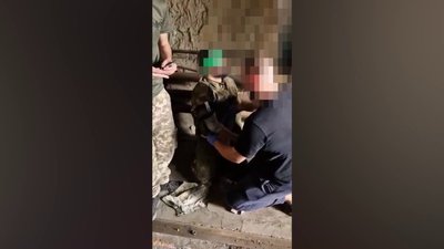 Росіян взяли у полон: прикордонники Чернігівського загону взяли в полон дев'ятьох росіян Росіян взяли у полон: прикордонники Чернігівського загону взяли в полон дев'ятьох росіян