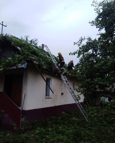 Повалені дерева через сильні пориви вітру: наслідки негоди на Закарпатті Повалені дерева через сильні пориви вітру: наслідки негоди на Закарпатті