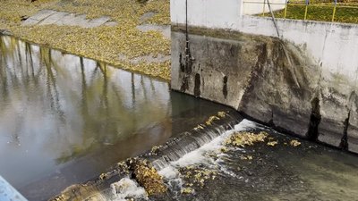 "Приїхав до річки, а води немає": чому обмілів Остер біля Козельця на Чернігівщині "Приїхав до річки, а води немає": чому обмілів Остер біля Козельця на Чернігівщині