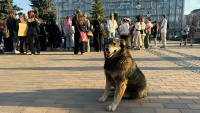 У Вінниці відбулася акція проти проєкту нового Цивільного кодексу У Вінниці відбулася акція проти проєкту нового Цивільного кодексу