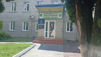 У Житомирі фіксують перегріви у собак: як цього уникнути
