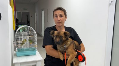 Каністерапія: як собаки Гаєчка та Річард допомагають з реабілітацією військових на Рівненщині Каністерапія: як собаки Гаєчка та Річард допомагають з реабілітацією військових на Рівненщині