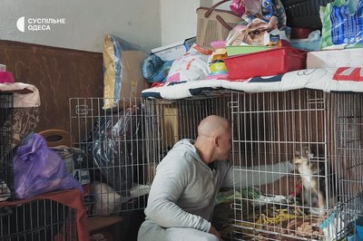 Сотні врятованих котів та собак: чому зооволонтер з Одещини допомагає тваринам Сотні врятованих котів та собак: чому зооволонтер з Одещини допомагає тваринам