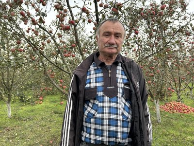 "Вродили усі сорти": подружжя з Дніпропетровщини вирощує яблука за майже 20 км від фронту "Вродили усі сорти": подружжя з Дніпропетровщини вирощує яблука за майже 20 км від фронту