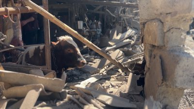 Наслідки обстрілу Шахове Донецька область 29 квітня 2025 рік
