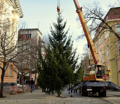 Хуст, Берегове та Чоп: у трьох містах Закарпаття встановили новорічні ялинки Хуст, Берегове та Чоп: у трьох містах Закарпаття встановили новорічні ялинки
