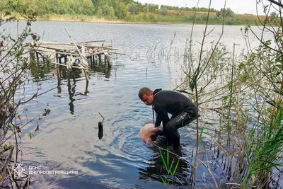 Обстріли Нікопольщини, збиті дрони, пожежна небезпека, фейковий збір. Головні новини Дніпра та області 2 серпня Обстріли Нікопольщини, збиті дрони, пожежна небезпека, фейковий збір. Головні новини Дніпра та області 2 серпня