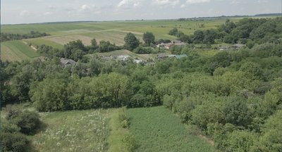 Босири Босири
