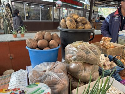 “Ціна менша вдвічі”: продавці й покупці про вартість картоплі на Сумщині “Ціна менша вдвічі”: продавці й покупці про вартість картоплі на Сумщині