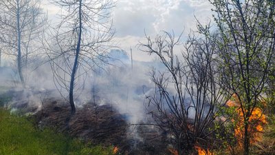 На Черкащині вісім разів горів сухостій: один чоловік отримав травми На Черкащині вісім разів горів сухостій: один чоловік отримав травми