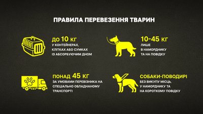 Нові правила для перевезення тварин в автобусах: що потрібно знати жителям Полтавщини Нові правила для перевезення тварин в автобусах: що потрібно знати жителям Полтавщини