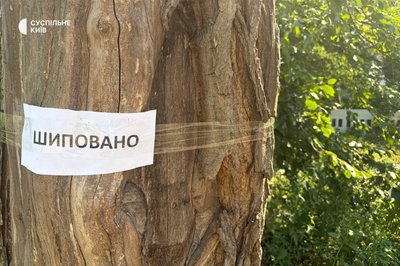Кияни протестують проти вирубки дерев на Теремках: що кажуть у поліції та КМДА Кияни протестують проти вирубки дерев на Теремках: що кажуть у поліції та КМДА