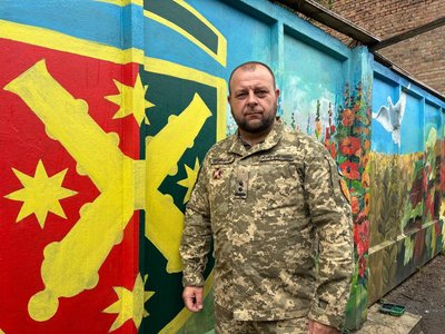 Від трипільської культури до сучасності: у Бердичеві завершують створення найбільшого муралу міста Від трипільської культури до сучасності: у Бердичеві завершують створення найбільшого муралу міста