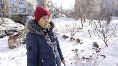 Майструють теплі будки та будують “котоготелі”. Як жителі Дніпра та Камʼянського допомагають безпритульним тваринам