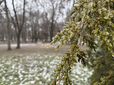 Пори ожеледицю кількість пацієнтів у травмпункті 1-ї лікарні Полтави не збільшилась Пори ожеледицю кількість пацієнтів у травмпункті 1-ї лікарні Полтави не збільшилась