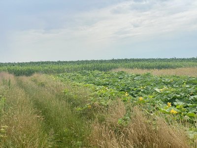 Відстань від поля, яке кроплять хімікатами, до городів Відстань від поля, яке кроплять хімікатами, до городів