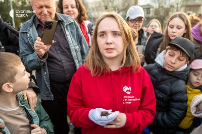 Вперше в Одесі: 27 кажанів повернулися у своє природне середовище