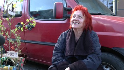 "Ціни трішечки підвищилися, але люди беруть": як продають ранню розсаду на ринку в Рівному