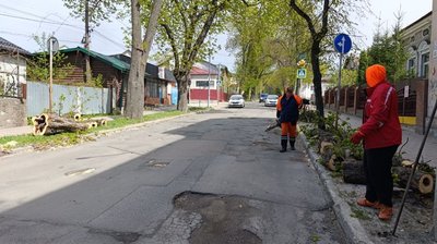 впало дерево, наслідки негоди тернопіль впало дерево, наслідки негоди тернопіль