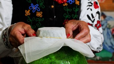 "Домашнє шампанське" з бузини: рецепт літнього напою від господині з Рівненщини "Домашнє шампанське" з бузини: рецепт літнього напою від господині з Рівненщини